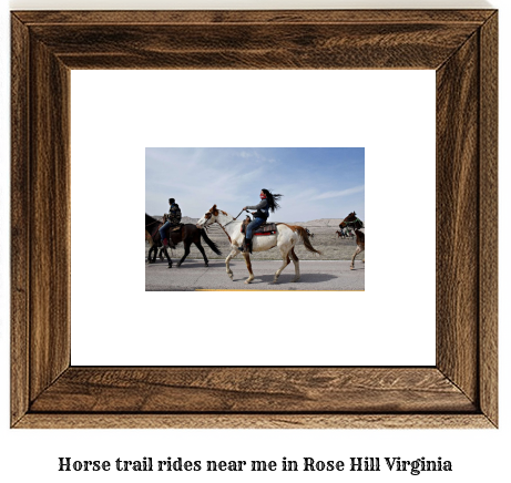 horse trail rides near me in Rose Hill, Virginia